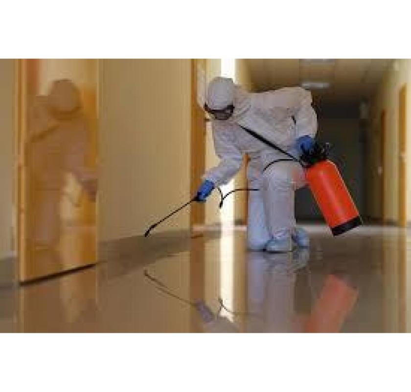 Get the Best Pest Control Sharjah Services