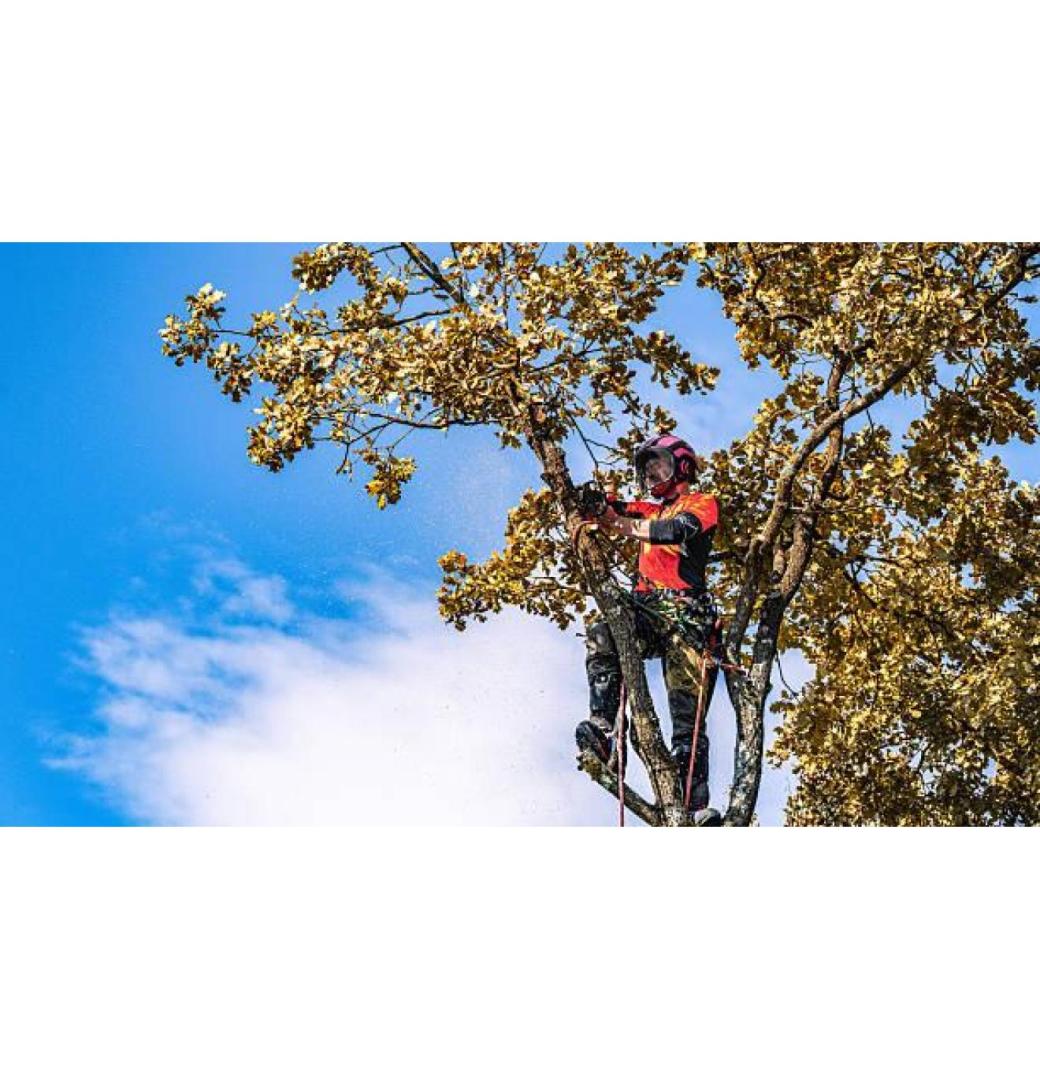 Fully Insured Local Tree Pruning for Residential and Commercial Properties