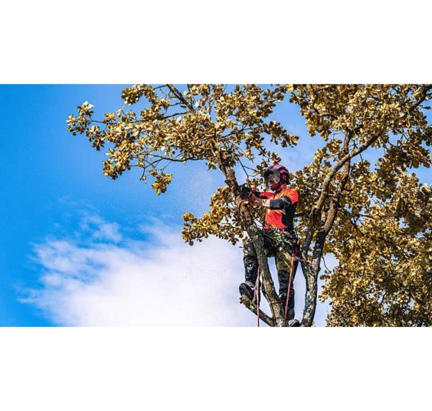 Fully Insured Local Tree Pruning for Residential and Commercial Properties
