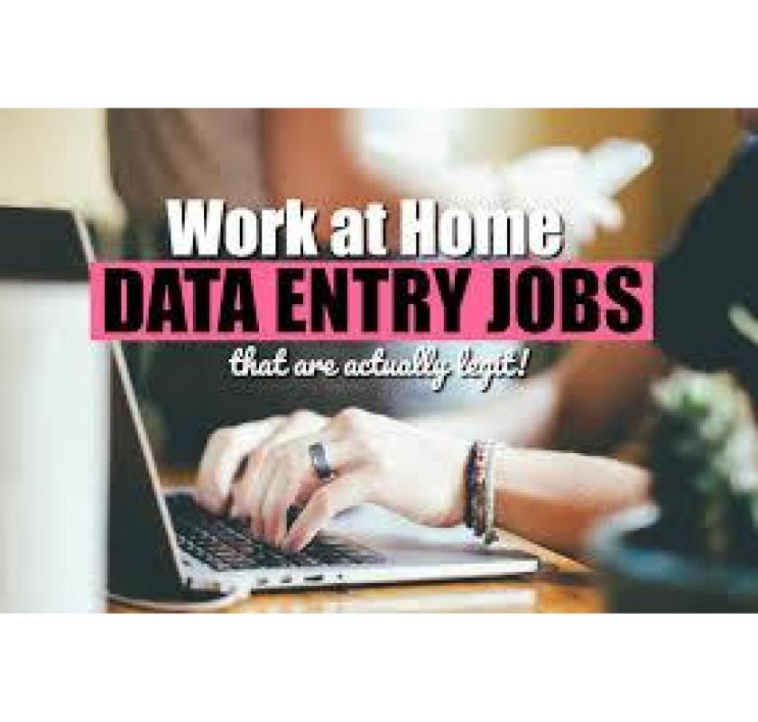  Freelance   Data Entry Work | Contact Now