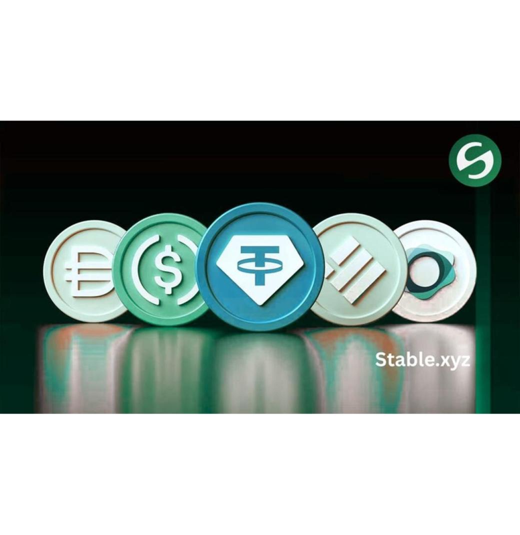 Best USD Stablecoin