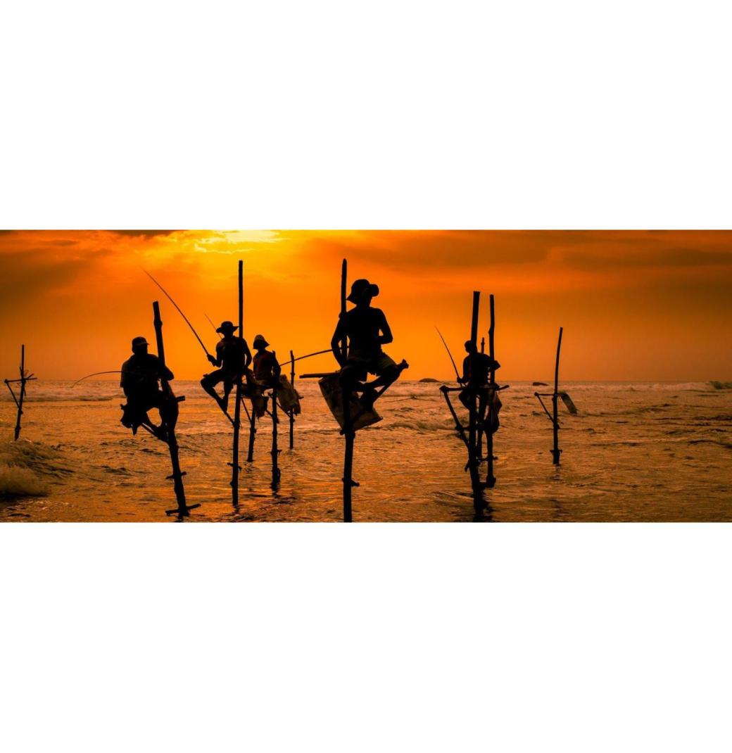 Top Hotels in Sri Lanka for World-Class Comfort & Scenic Views - 1/3