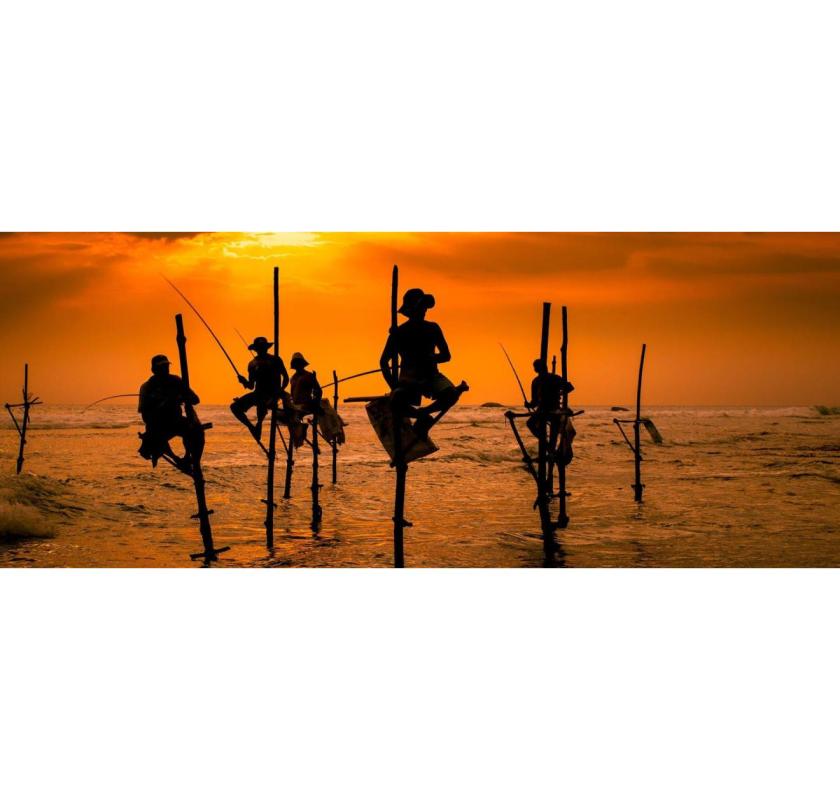 Top Hotels in Sri Lanka for World-Class Comfort & Scenic Views