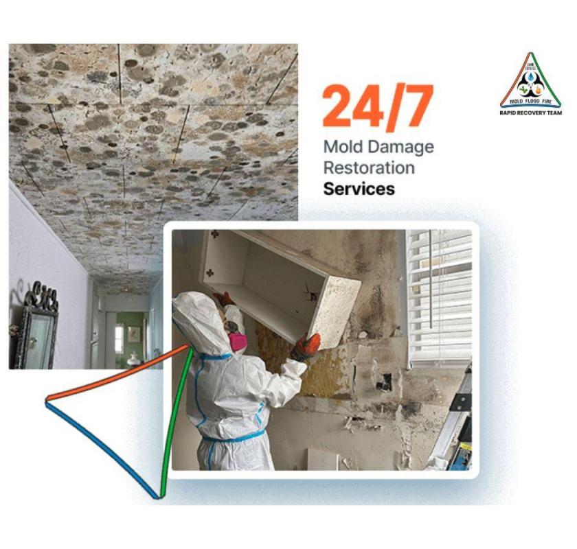 Safe Homes Start Here – Expert Mold Remediation Sanford