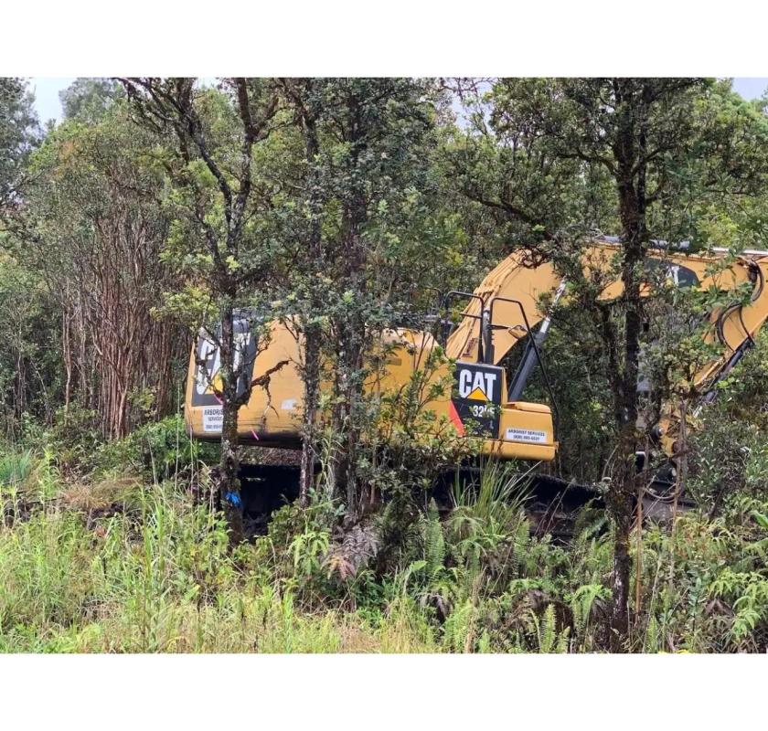 Trusted Forest Mowing Services for Property Maintenance - Arborist Services 