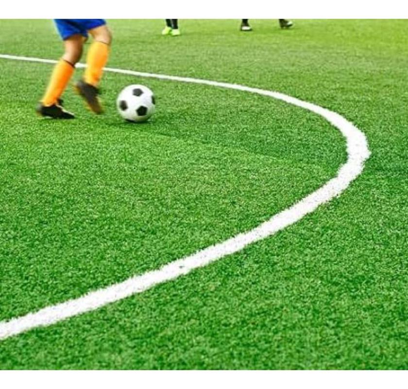 Best Synthetic Grass Perth – Premium Quality Lawns