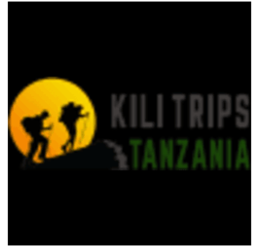 See More In Less Time — Unforgettable Tanzania Day Trips With Kili Trips