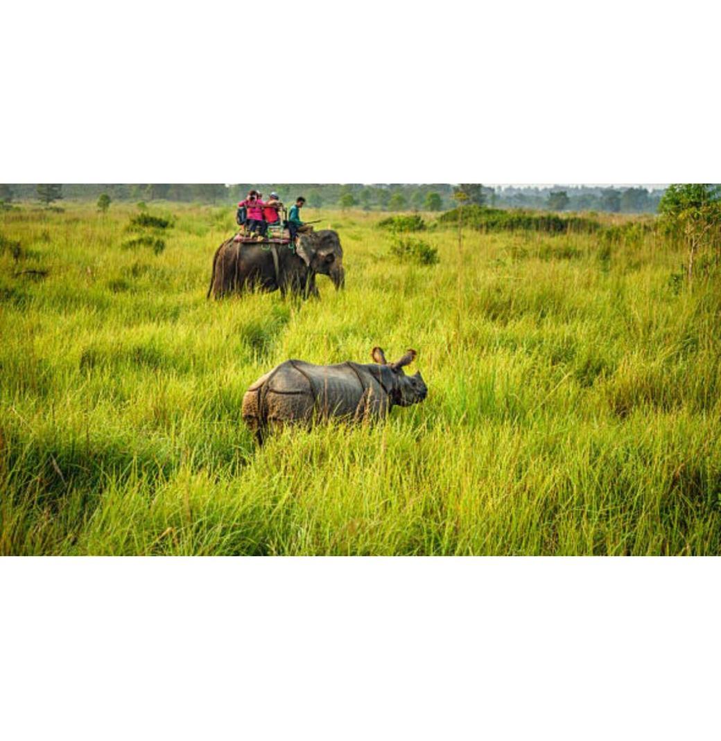 Adventure With Jungle Safari In Dooars From Resort