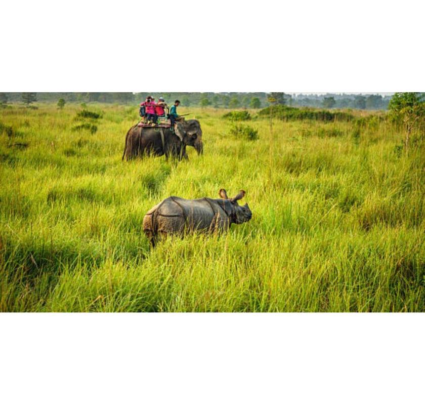 Adventure With Jungle Safari In Dooars From Resort