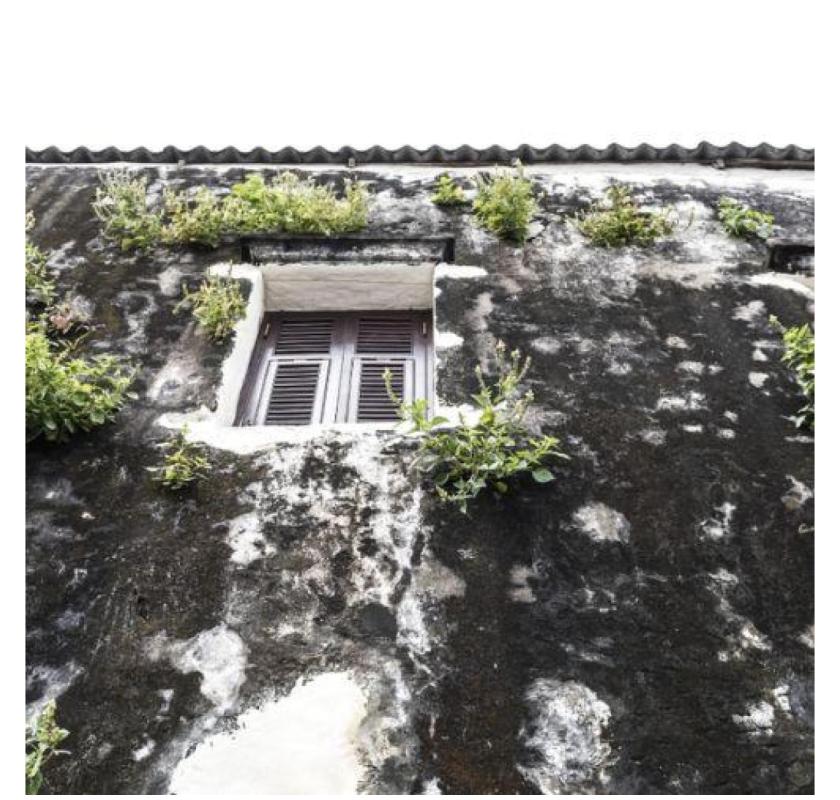 Trusted Commercial Roof Storm Damage Services