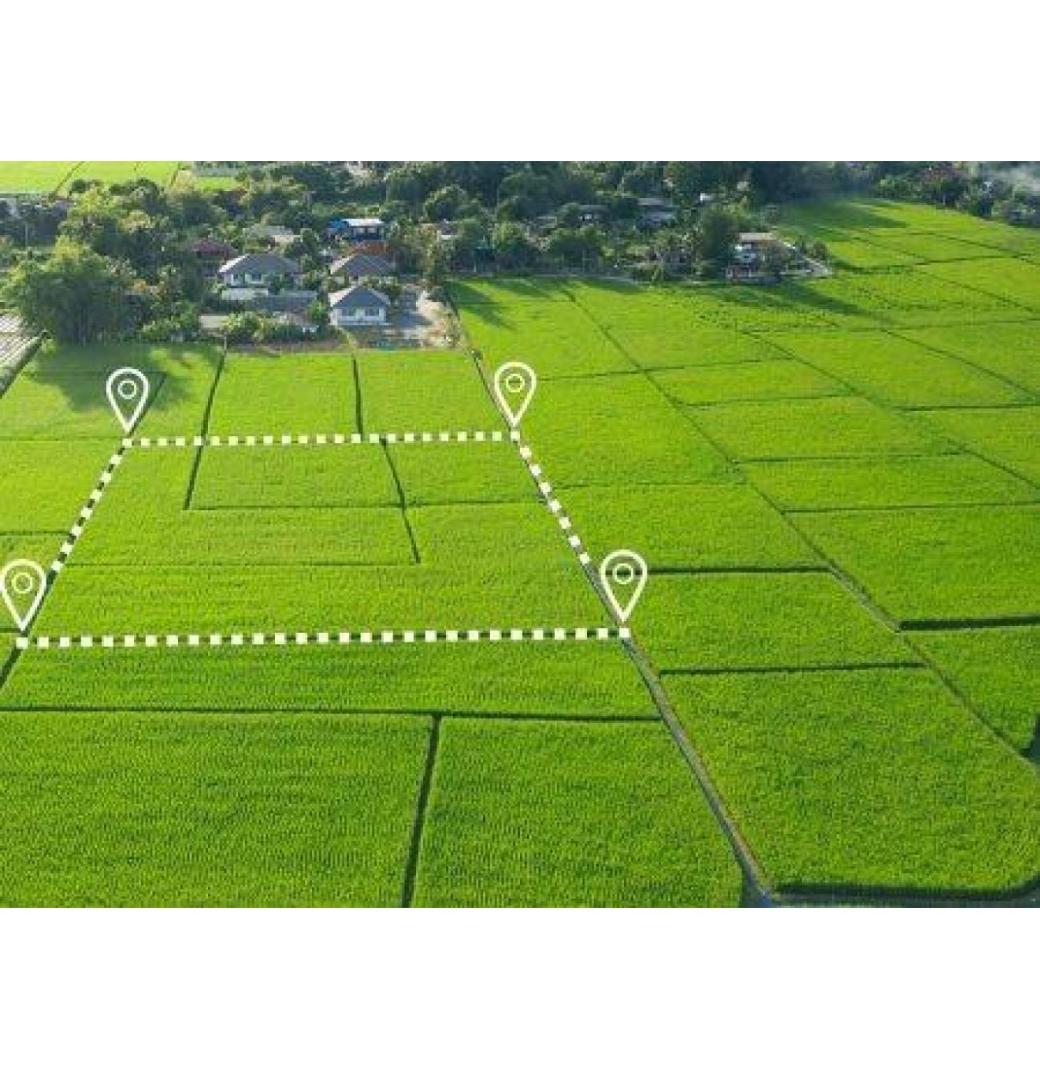 What Makes a Reliable Land Registry Company Stand Out in the Market?