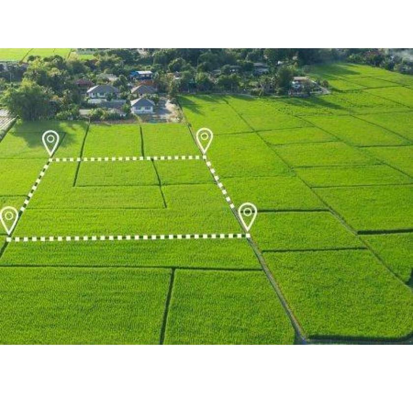 What Makes a Reliable Land Registry Company Stand Out in the Market?