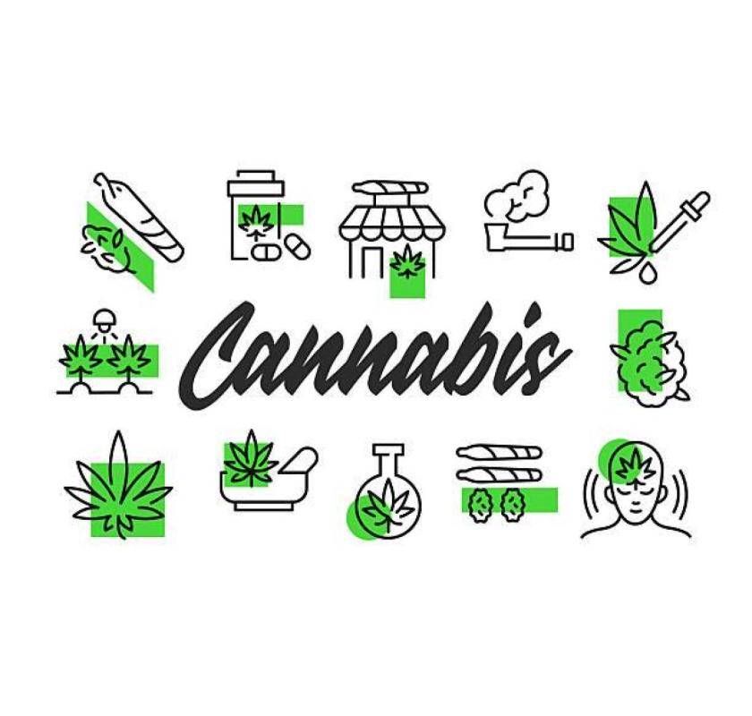 Paradise Cannabis – Premium Cannabis Store in Deep River