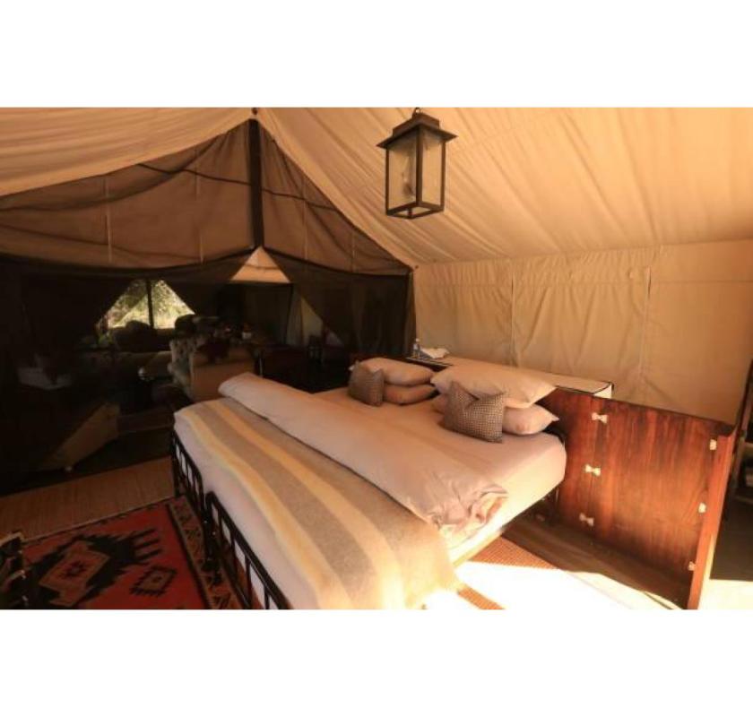 Experience Ultimate Luxury Camp Stay in Bir Billing with Northwind