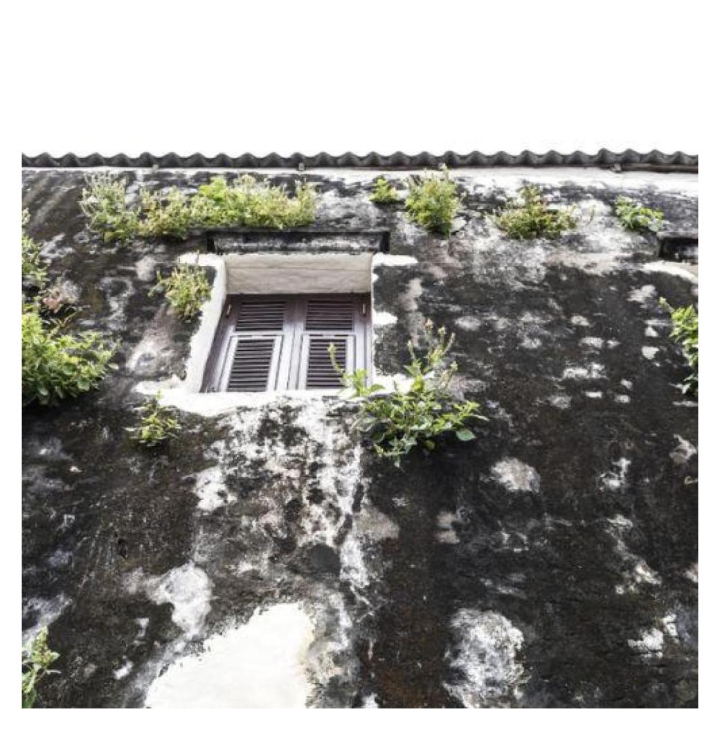 Reliable Commercial Roof Replacement Services