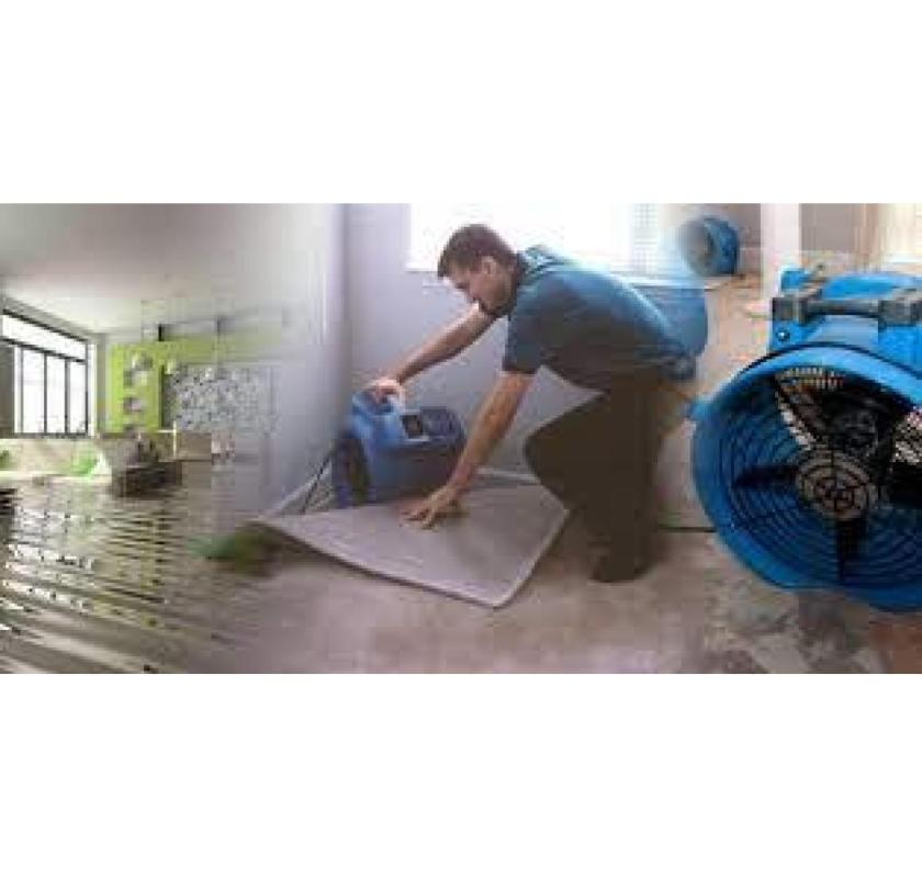 Why Should You Trust Experts for Flood Cleanup Services?