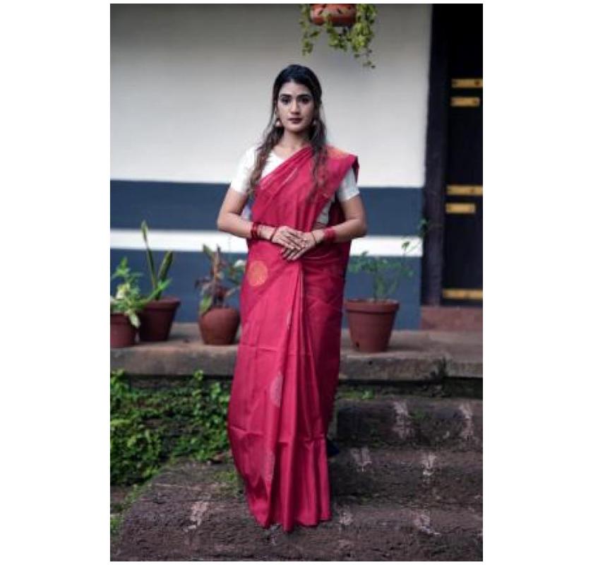 Are borderless silk sarees suitable for formal events?