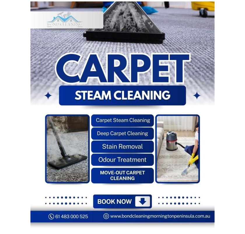 Deep Carpet Steam Cleaning at Affordable Prices