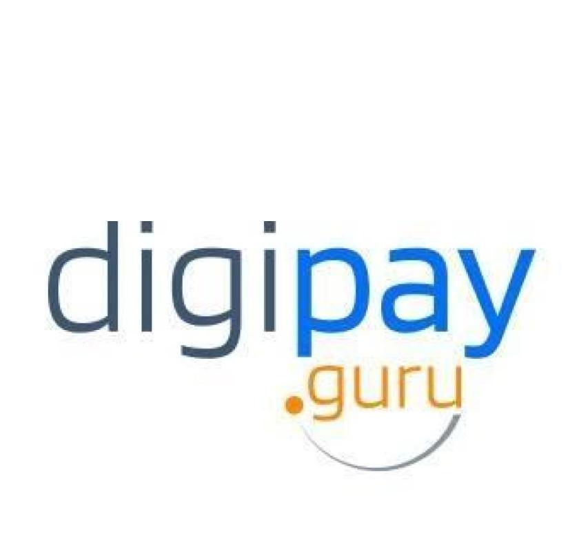 Advanced Digital Payment Software for Secure & Fast Transactions