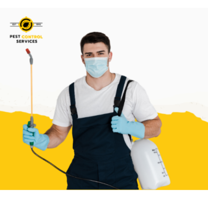 Fumigation For Mosquito Control