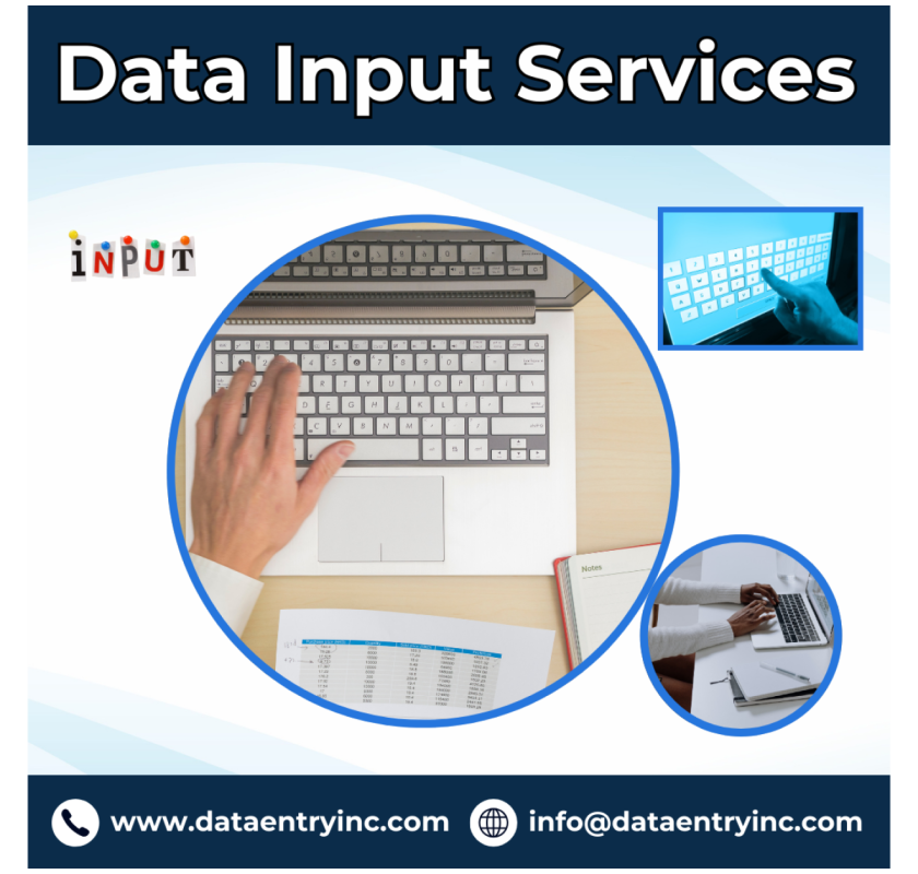 Best Data Input Services in India