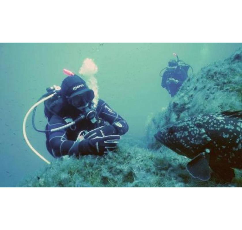 Top Scuba Adventures & Snorkeling Tours with Scubanautic in Mallorca