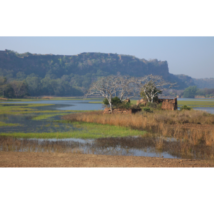 Kerala Backwaters Tour : A Luxury Honeymoon Destination for U.S. Couples