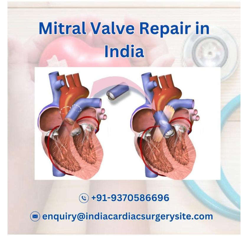Cost of Mitral Valve Repair India