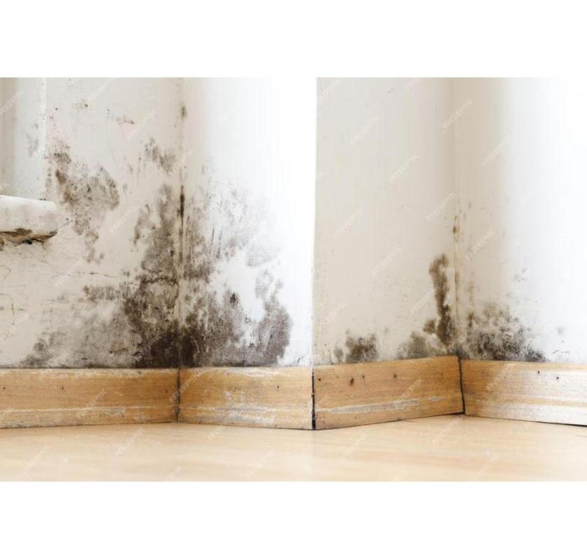Disrepair Compensation Claims Help for Tenants in Poor Homes