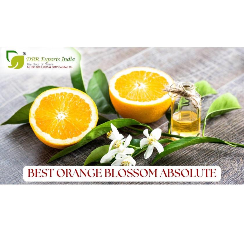 Orange Blossom Absolute Manufacturer – Premium Natural Extracts