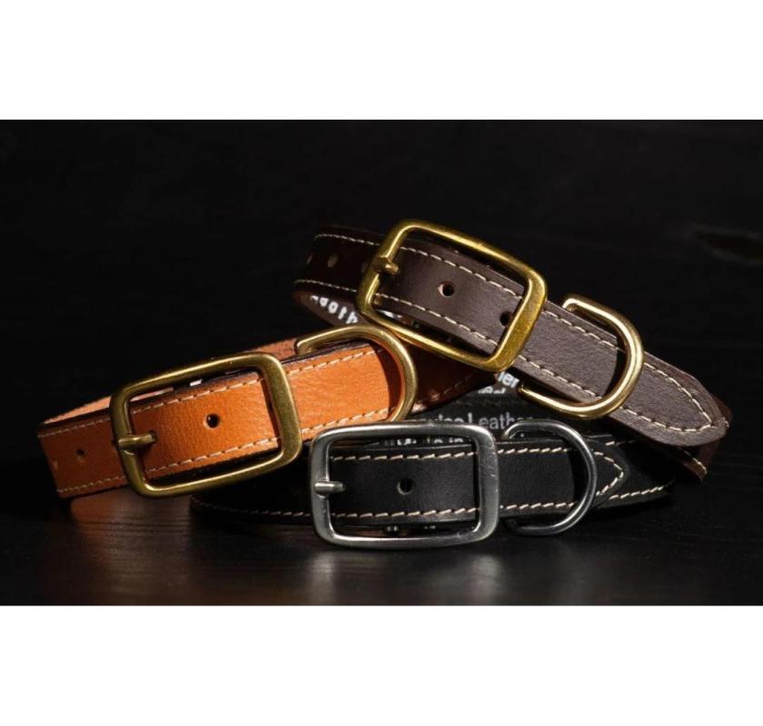 Premium Dog Collars Made in Canada: Style and Durability for Your Pet