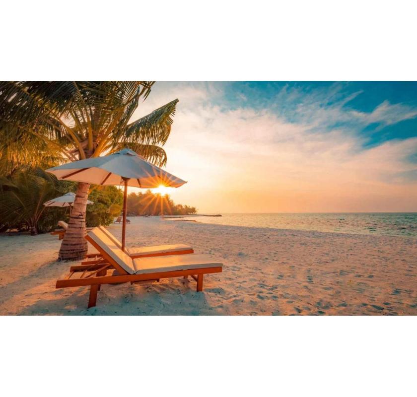 Explore Our Mauritius Holiday Packages – Beaches, Nature and Island Culture