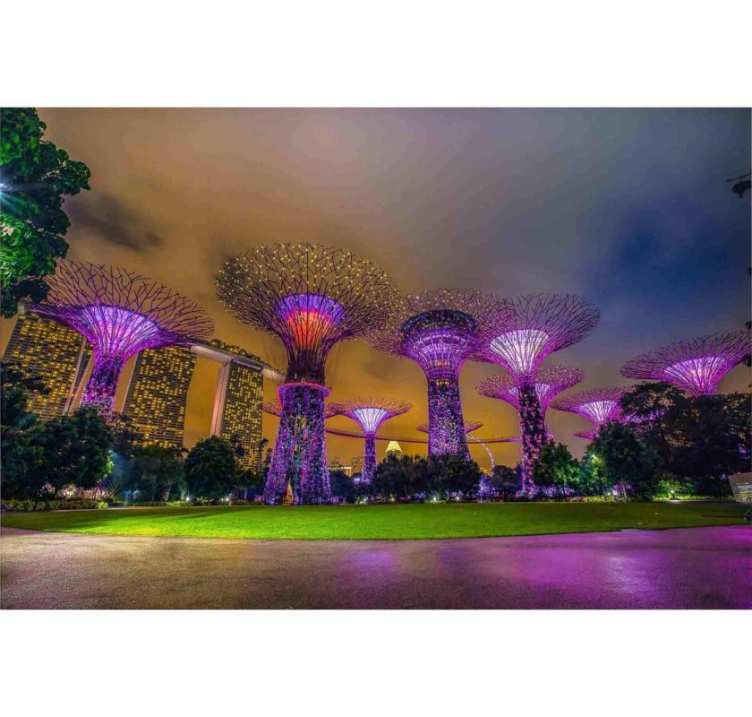 Explore Our Singapore Holiday Packages – Green Spaces and Cultural Diversity