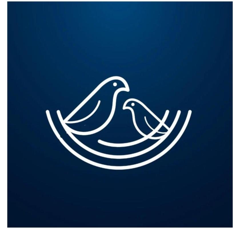 Nest Software Private Ltd