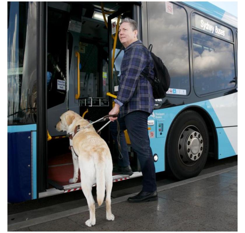 Safe & Reliable NDIS Travel and Transport In Brisbane – Book Support Today