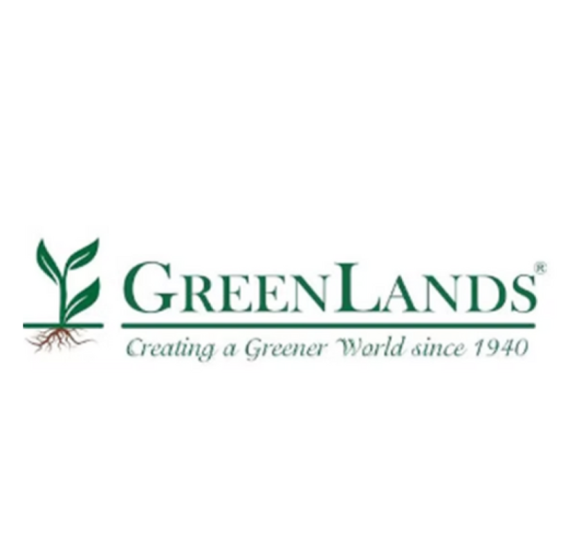 Trusted Green Wall Vendors In Mumbai Deliver Quality Solutions - Greenlands 