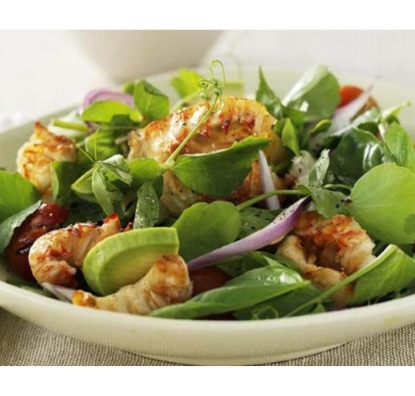 Fresh Tasmanian Mud Crab for Sale | Limited Daily Catch