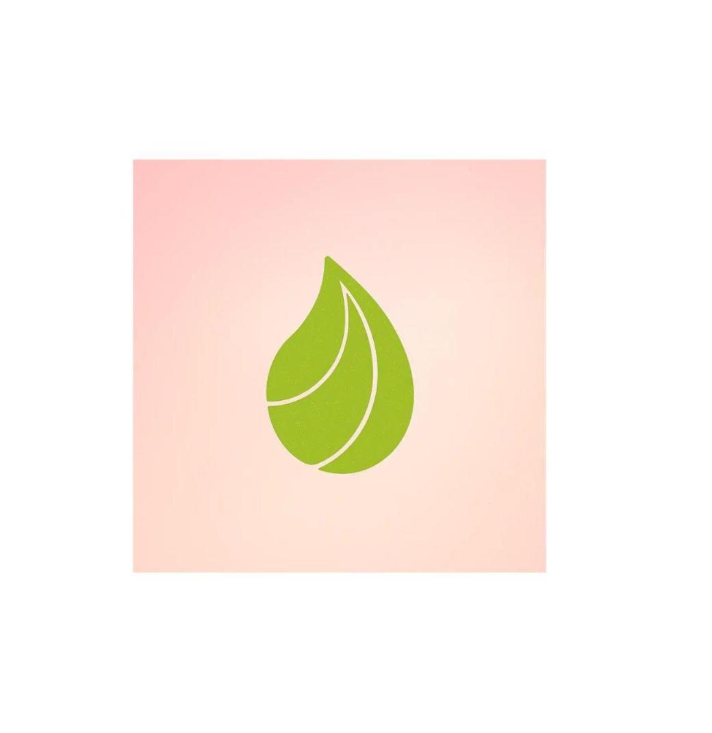 Blesskin -Vitamin C E Face Cleanser India - 2/2