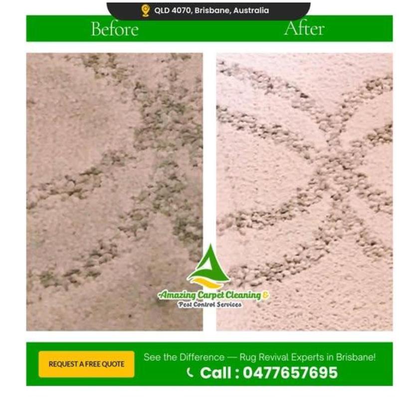Expert Carpet Cleaning & Local Carpet Cleaner in Logan