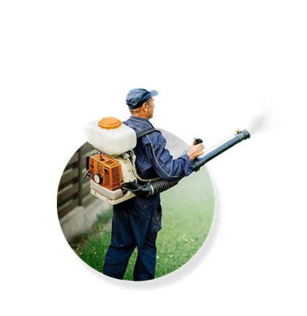 Pest Control Penrith
