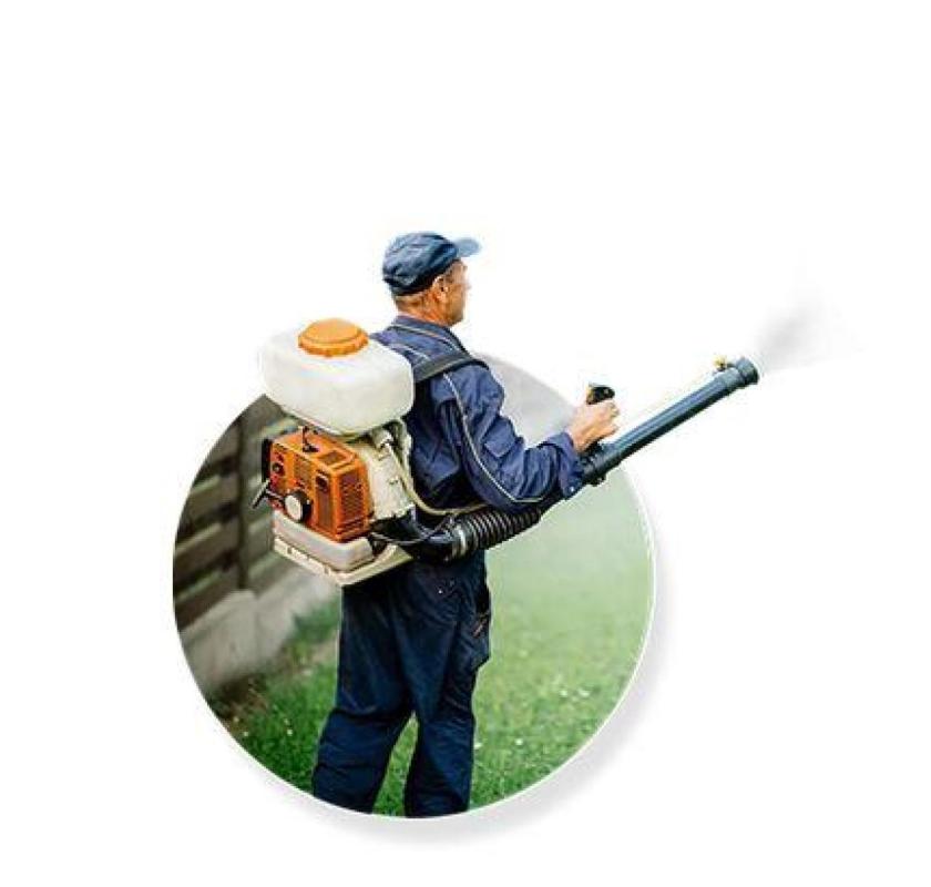 Pest Control Penrith