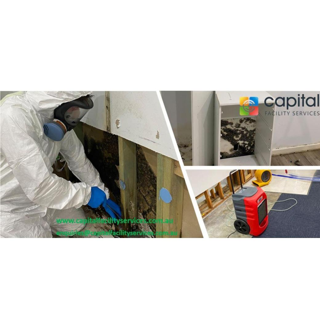 Mold Removal Melbourne Services You Can Rely On?