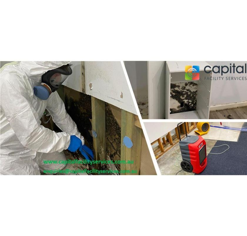 Mold Removal Melbourne Services You Can Rely On?