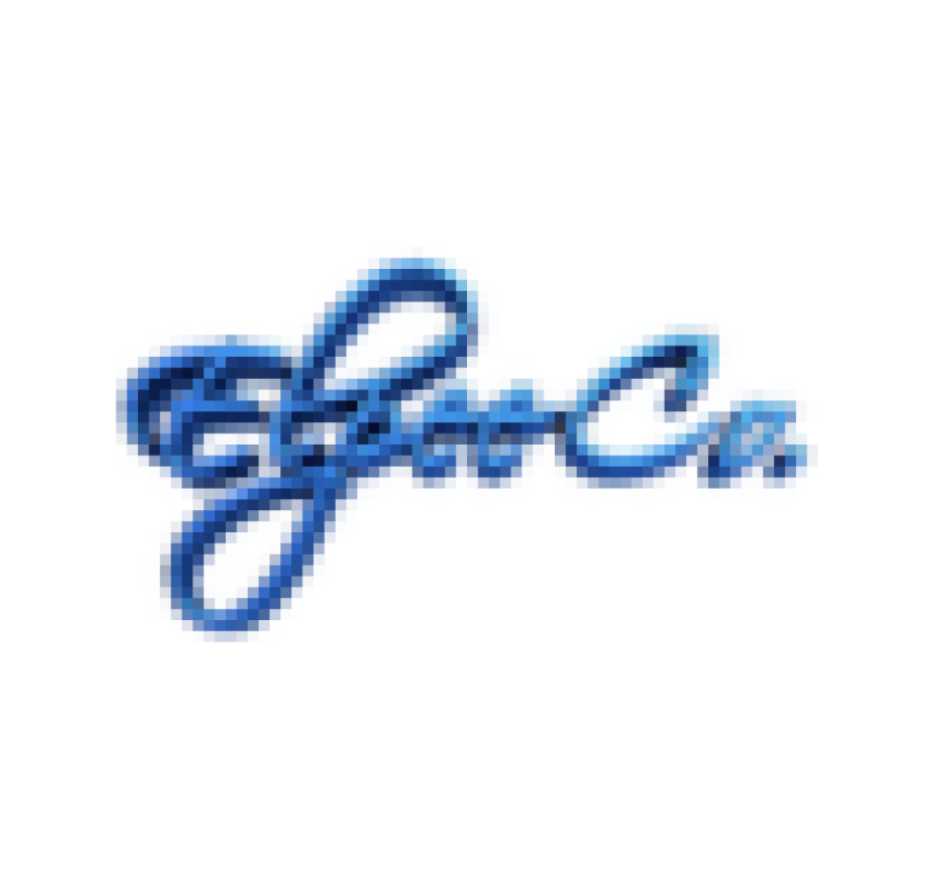 Trusted Litigation Firms in Mumbai for Corporate Disputes – ElpeeCo 