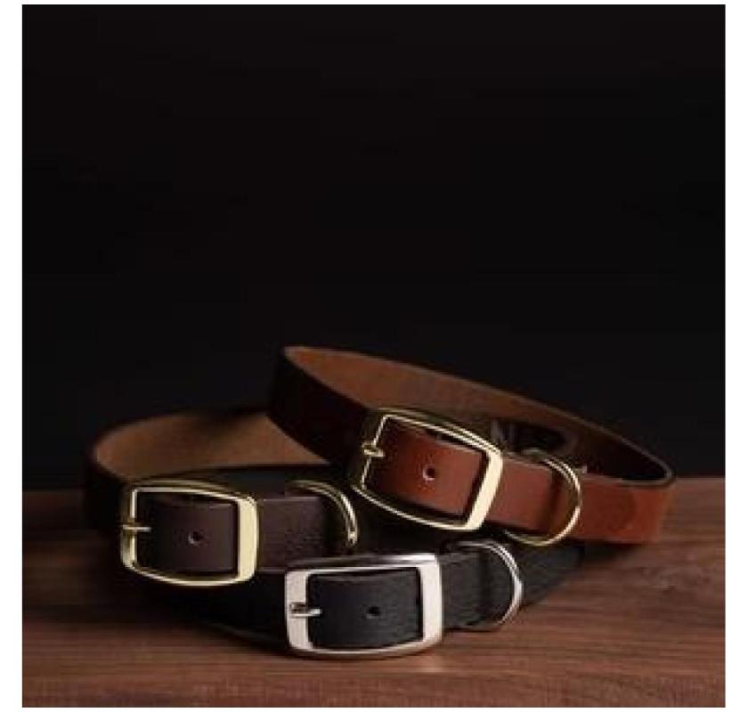 Dog Collars Made in Canada: Premium Craftsmanship by NAB Leather