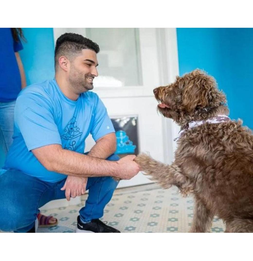 Still Searching for a Stress-Free Dog Grooming Spot in Dunedin?