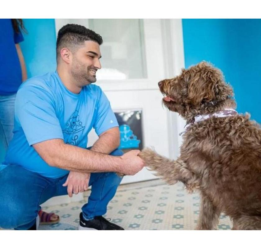 Still Searching for a Stress-Free Dog Grooming Spot in Dunedin?