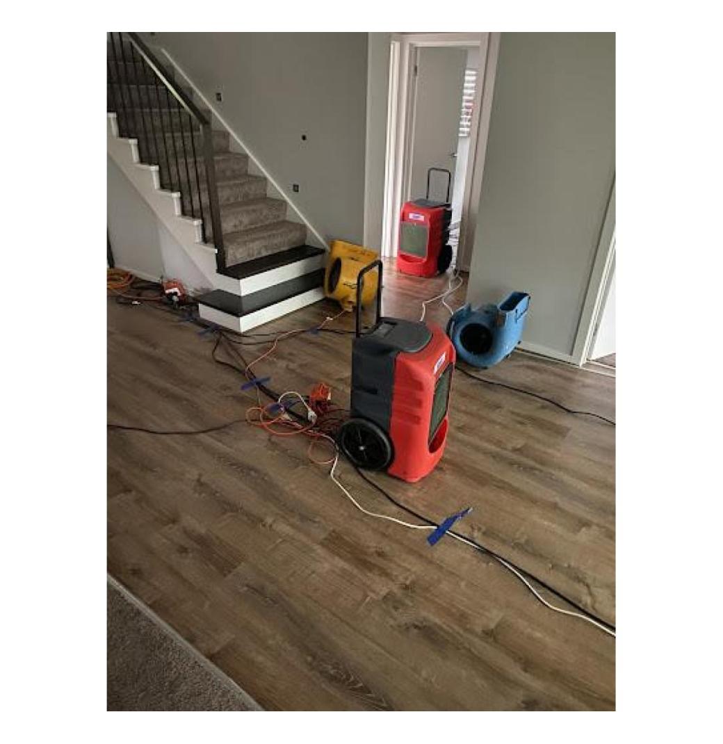 Top Emergency Flood Clean Up Specialists Near You