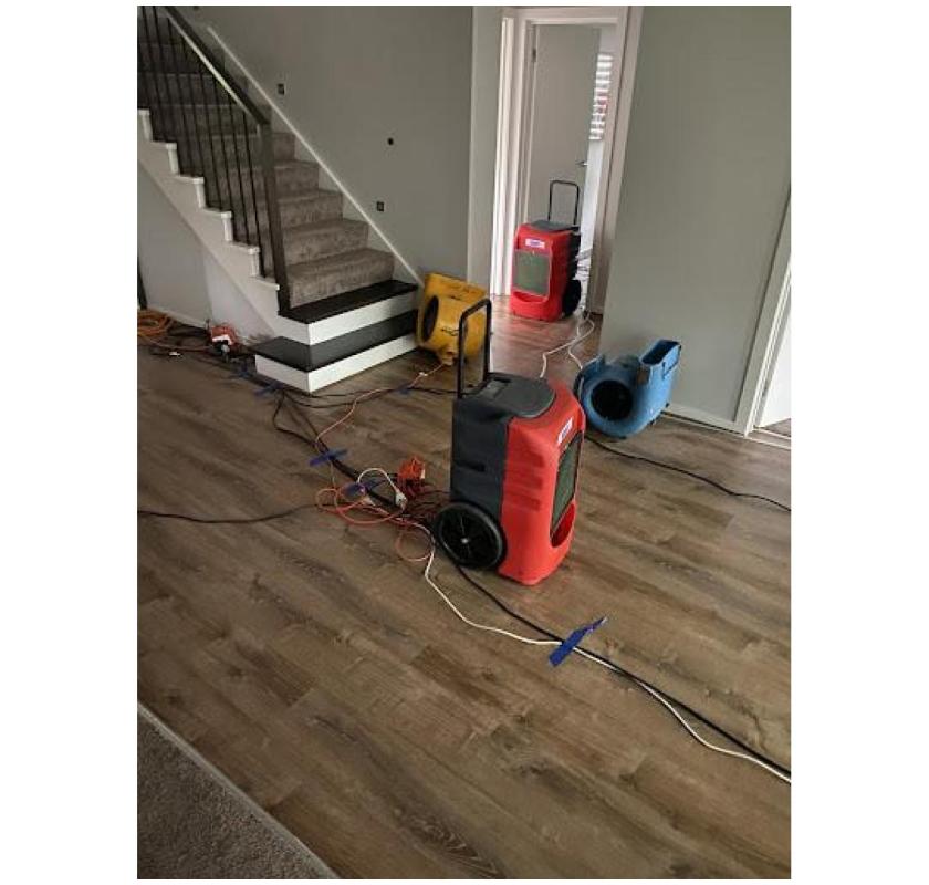 Top Emergency Flood Clean Up Specialists Near You