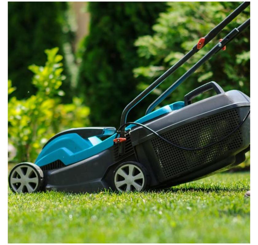 Blacktown Gardens Bloom with Expert NDIS Gardening Care! 